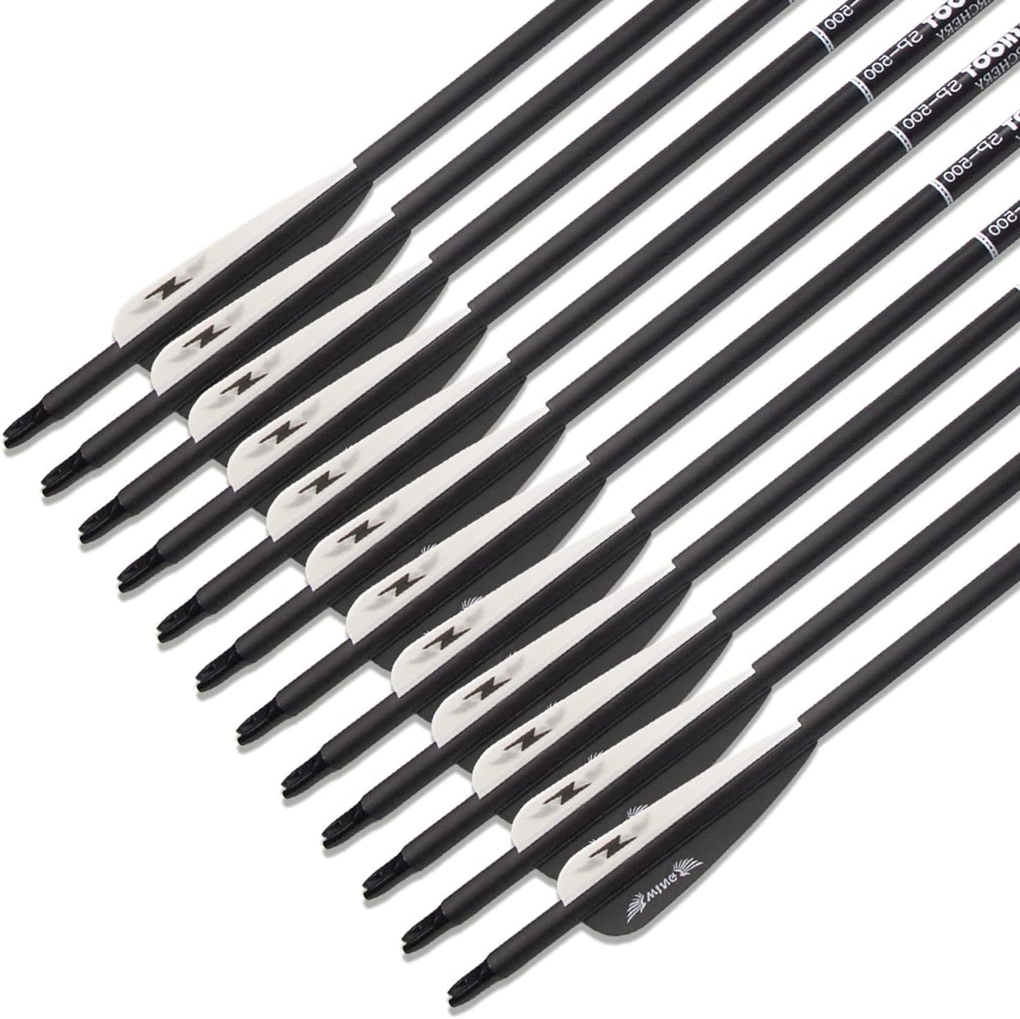 31inch Carbon Arrow Archery Targeting Practice Hunting Arrows for Compound & Recurve Bow with Removable Tips(Pack of 12)