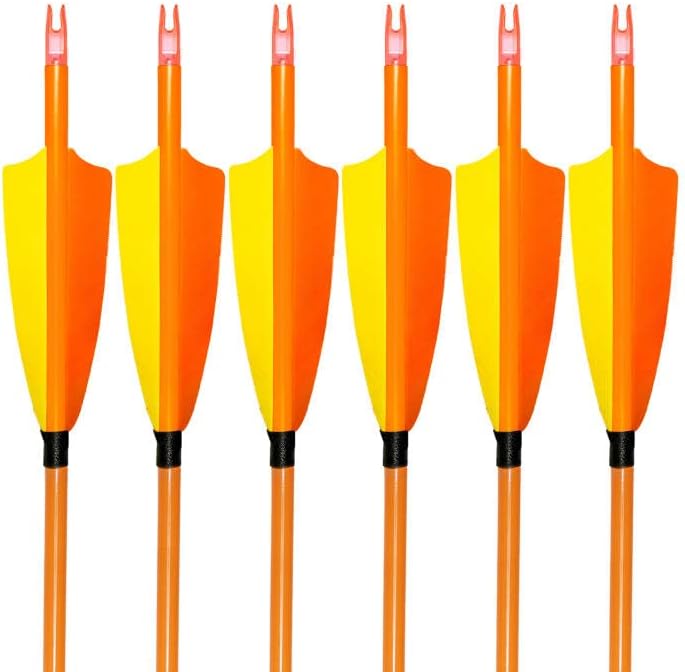 31Inch Carbon Arrows, Targeting Practice Hunting Arrow, Turkey Feather Fletching Arrow, with Removable Tips and nocks for Recurve & Compound Bow