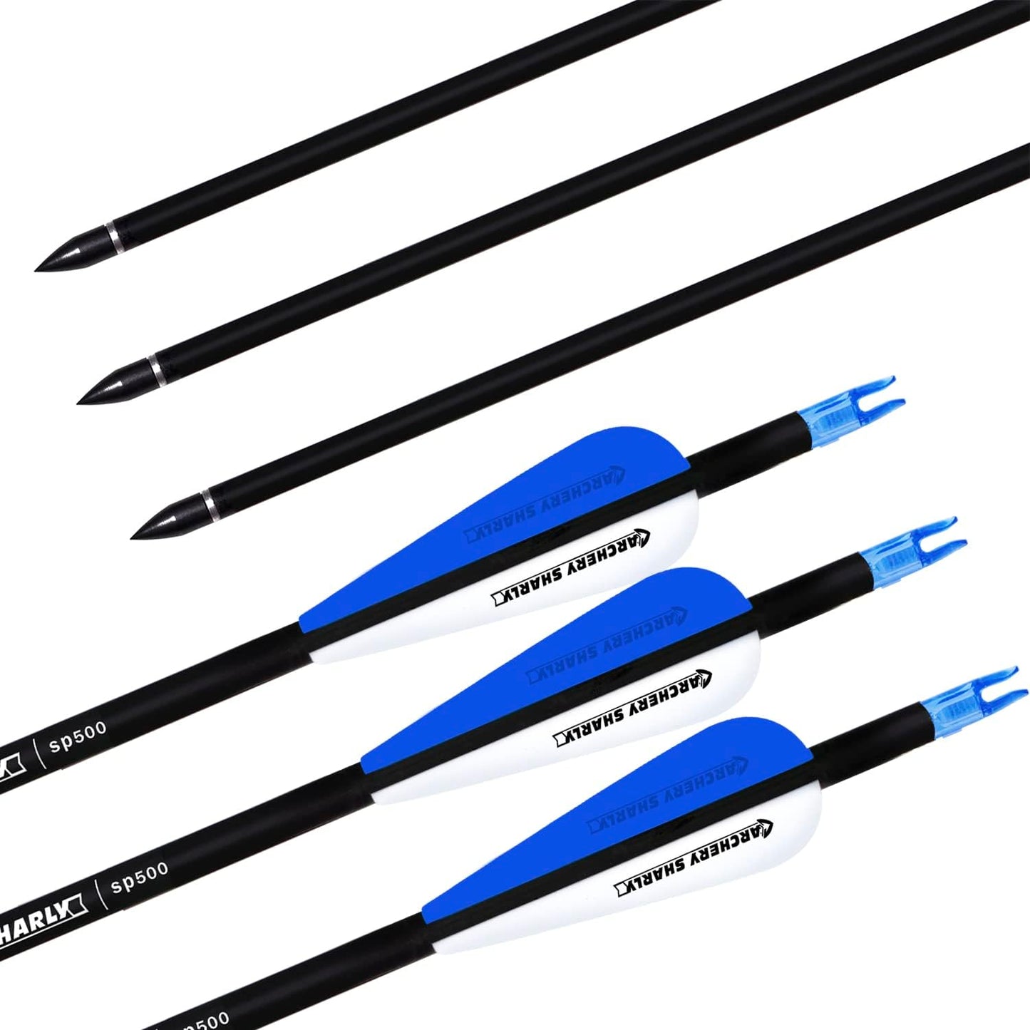 30Inch Carbon Hunting Arrow Targeting Practice Arrows with Removable Tips and Adjustable Nocks for Compound & Recurve Bow (Pack of 12)
