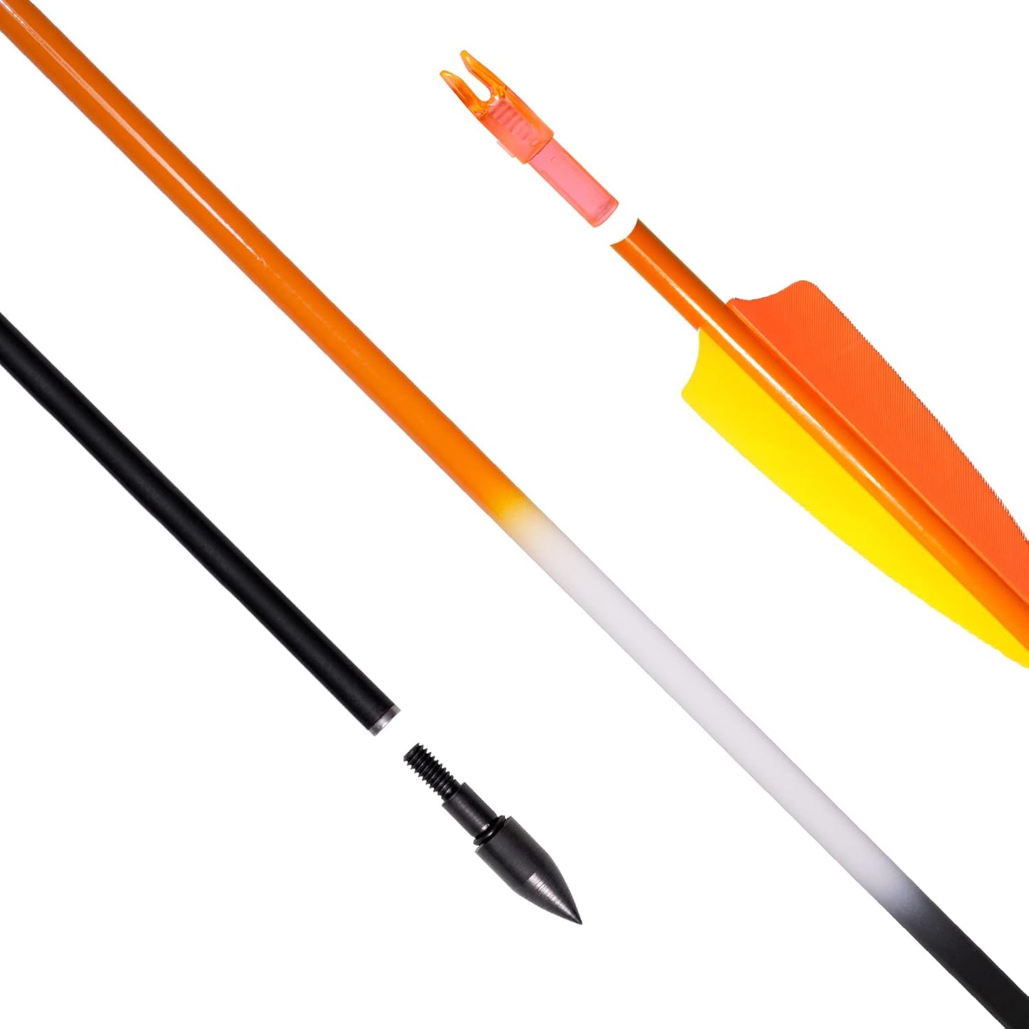 31Inch Carbon Arrows, Targeting Practice Hunting Arrow, Turkey Feather Fletching Arrow, with Removable Tips and nocks for Recurve & Compound Bow