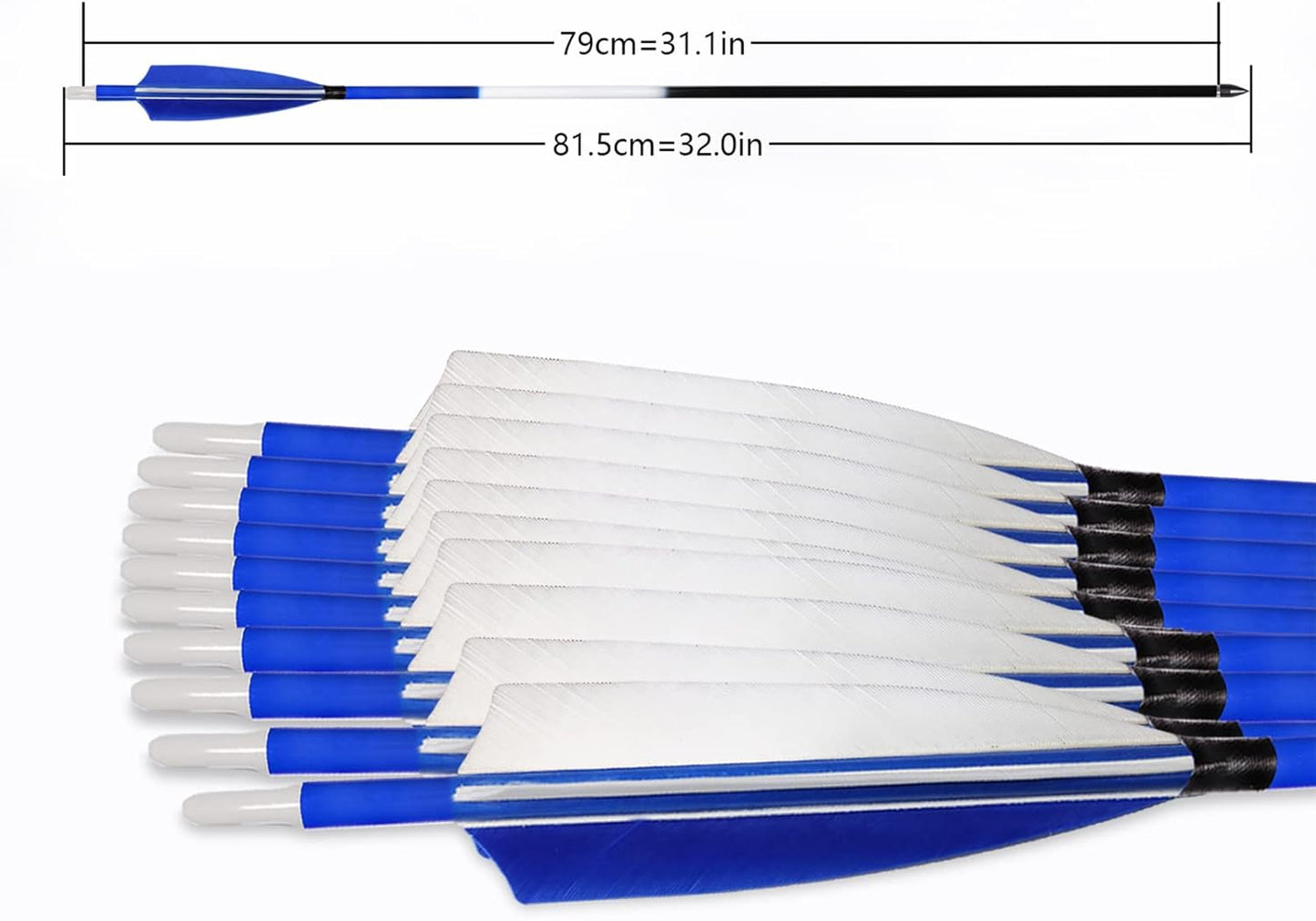 31Inch Carbon Arrows, Targeting Practice Hunting Arrow, Turkey Feather Fletching Arrow, with Removable Tips and nocks for Recurve & Compound Bow