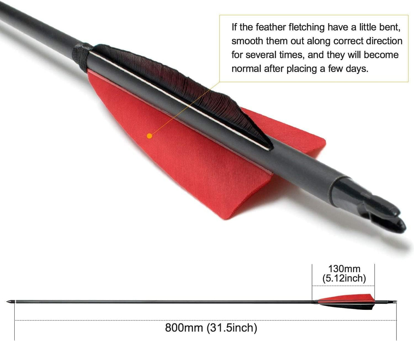 31Inch Carbon Arrows, Targeting Practice Hunting Arrow, Turkey Feather Fletching Arrow, with Removable Tips and nocks for Recurve & Compound Bow