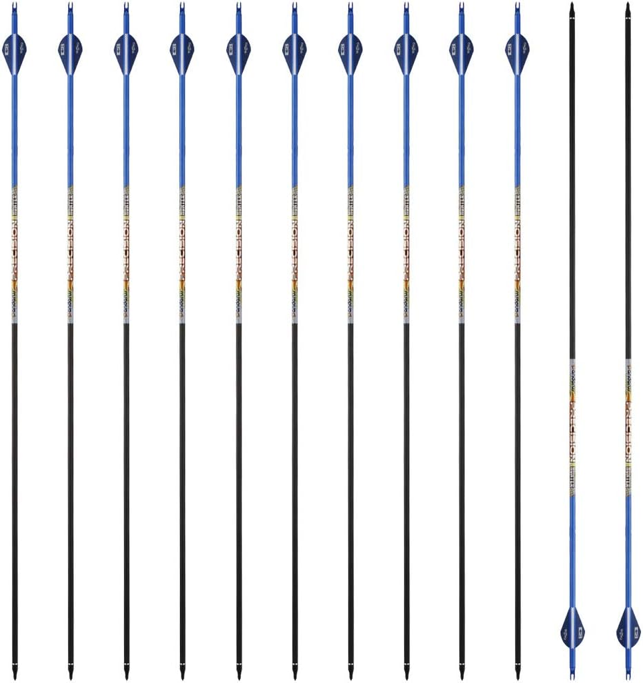 30/32" Inch ST0.006 Hunting Arrows for Compound & Recurve Bow,100% Carbon Archery Target Arrows with Removable Tips for Accurate Hunters & Bowhunters (Pack of 12)