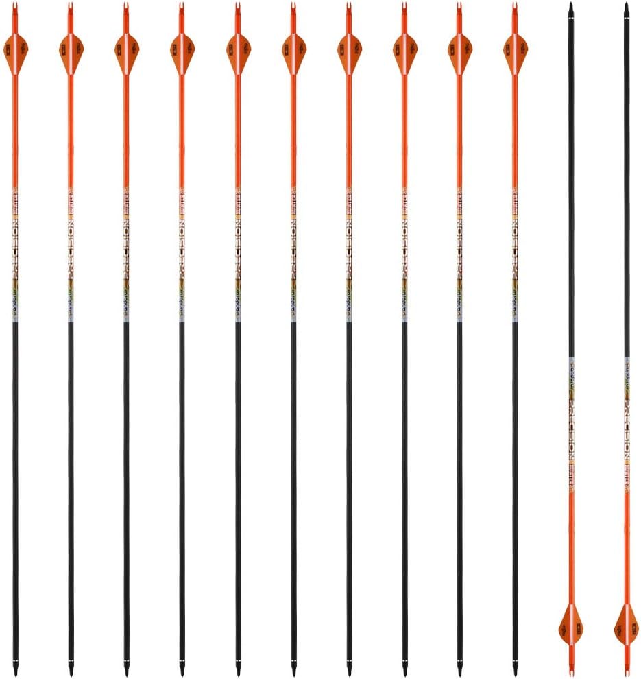 30/32" Inch ST0.006 Hunting Arrows for Compound & Recurve Bow,100% Carbon Archery Target Arrows with Removable Tips for Accurate Hunters & Bowhunters (Pack of 12)