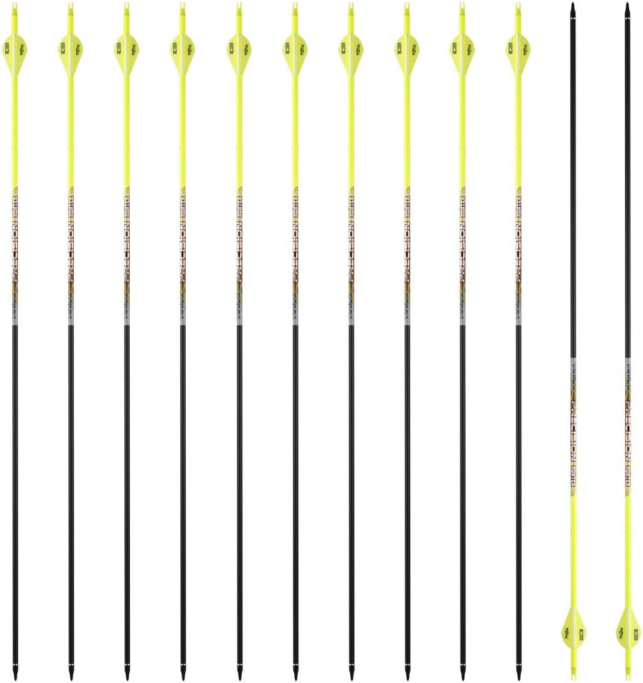 30/32" Inch ST0.006 Hunting Arrows for Compound & Recurve Bow,100% Carbon Archery Target Arrows with Removable Tips for Accurate Hunters & Bowhunters (Pack of 12)