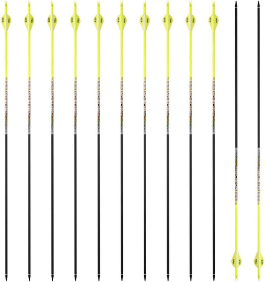 30/32" Inch ST0.006 Hunting Arrows for Compound & Recurve Bow,100% Carbon Archery Target Arrows with Removable Tips for Accurate Hunters & Bowhunters (Pack of 12)