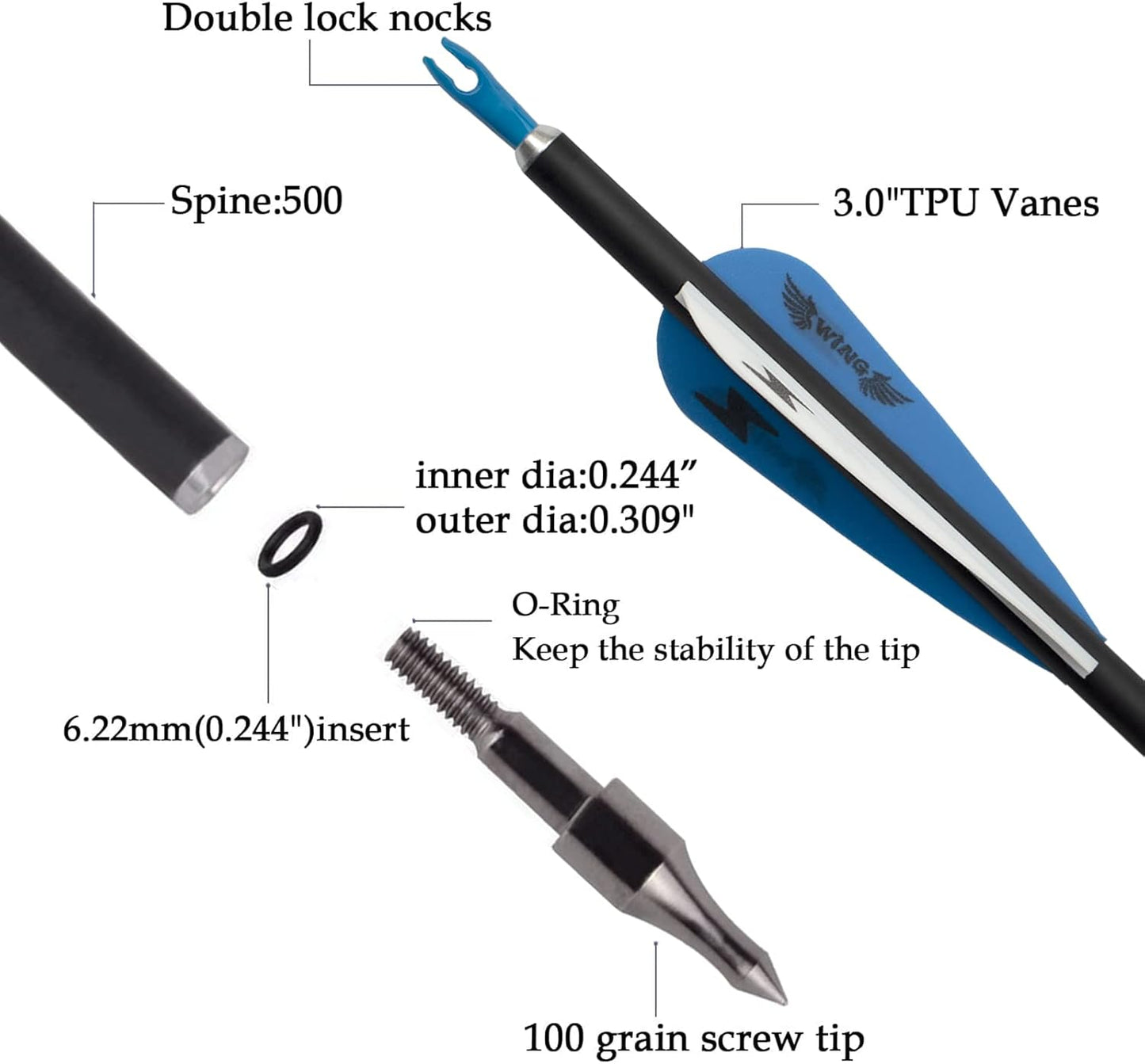31inch Carbon Arrow Archery Targeting Practice Hunting Arrows for Compound & Recurve Bow with Removable Tips(Pack of 12)
