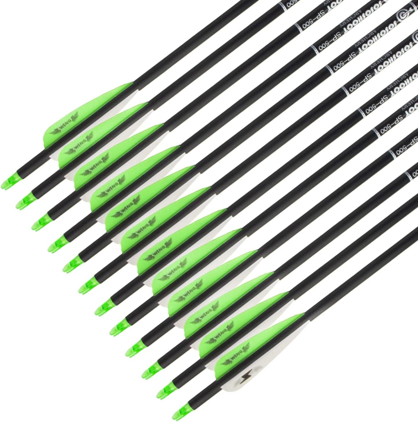 31inch Carbon Arrow Archery Targeting Practice Hunting Arrows for Compound & Recurve Bow with Removable Tips(Pack of 12)
