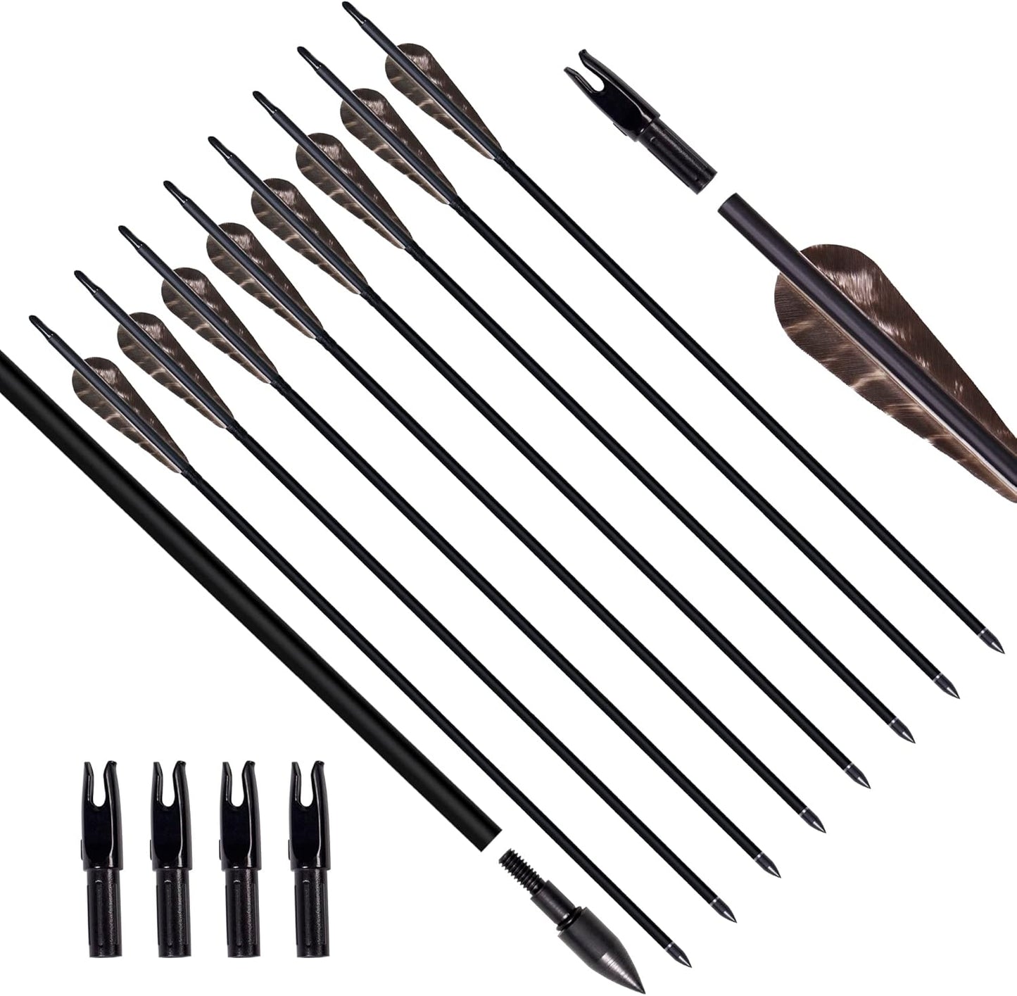 31Inch Carbon Arrow, Practice Hunting Arrows, Camo Turkey Feather Fletching, Arrows for Compound & Recurve Bow with Removable Tips Adjustable Nocks