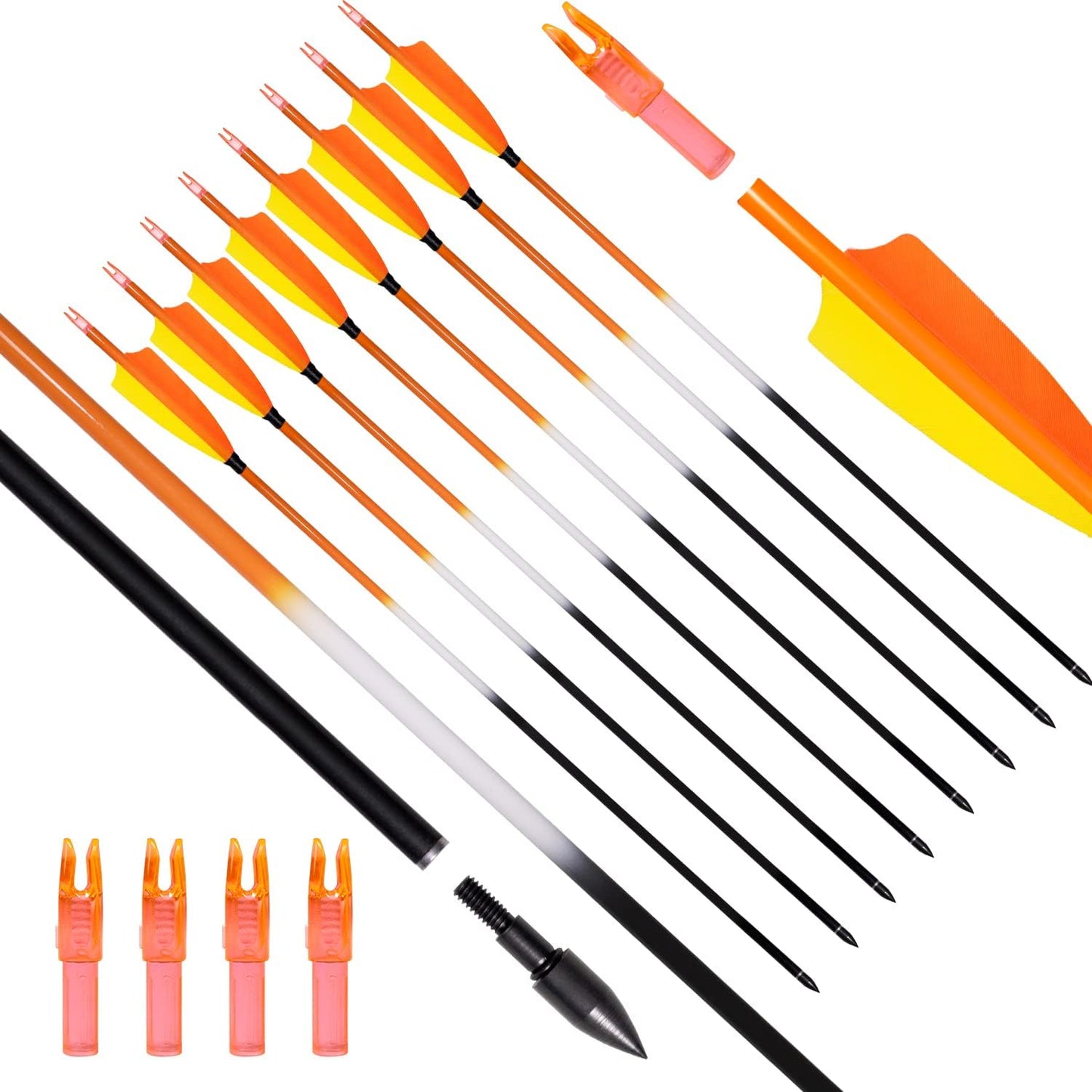 31Inch Carbon Arrows, Targeting Practice Hunting Arrow, Turkey Feather Fletching Arrow, with Removable Tips and nocks for Recurve & Compound Bow