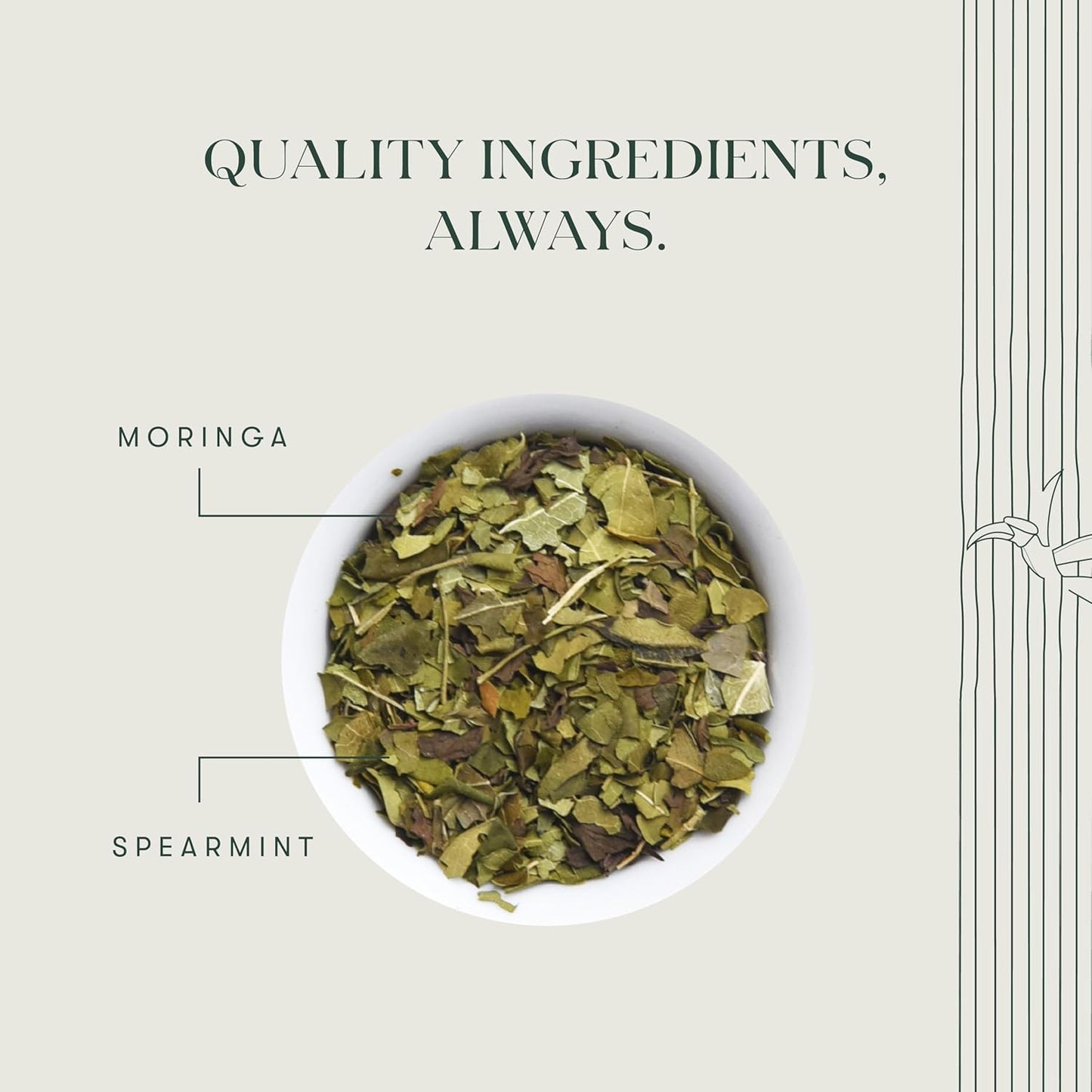 Luxmi Estates Moringa Mint Organic Moringa Mint Green Tea (50 Tea Bags) Caffeine Free Tea Bags For Digestion, Detox, and Stress Relief, With Certified Organic Herbal Tea