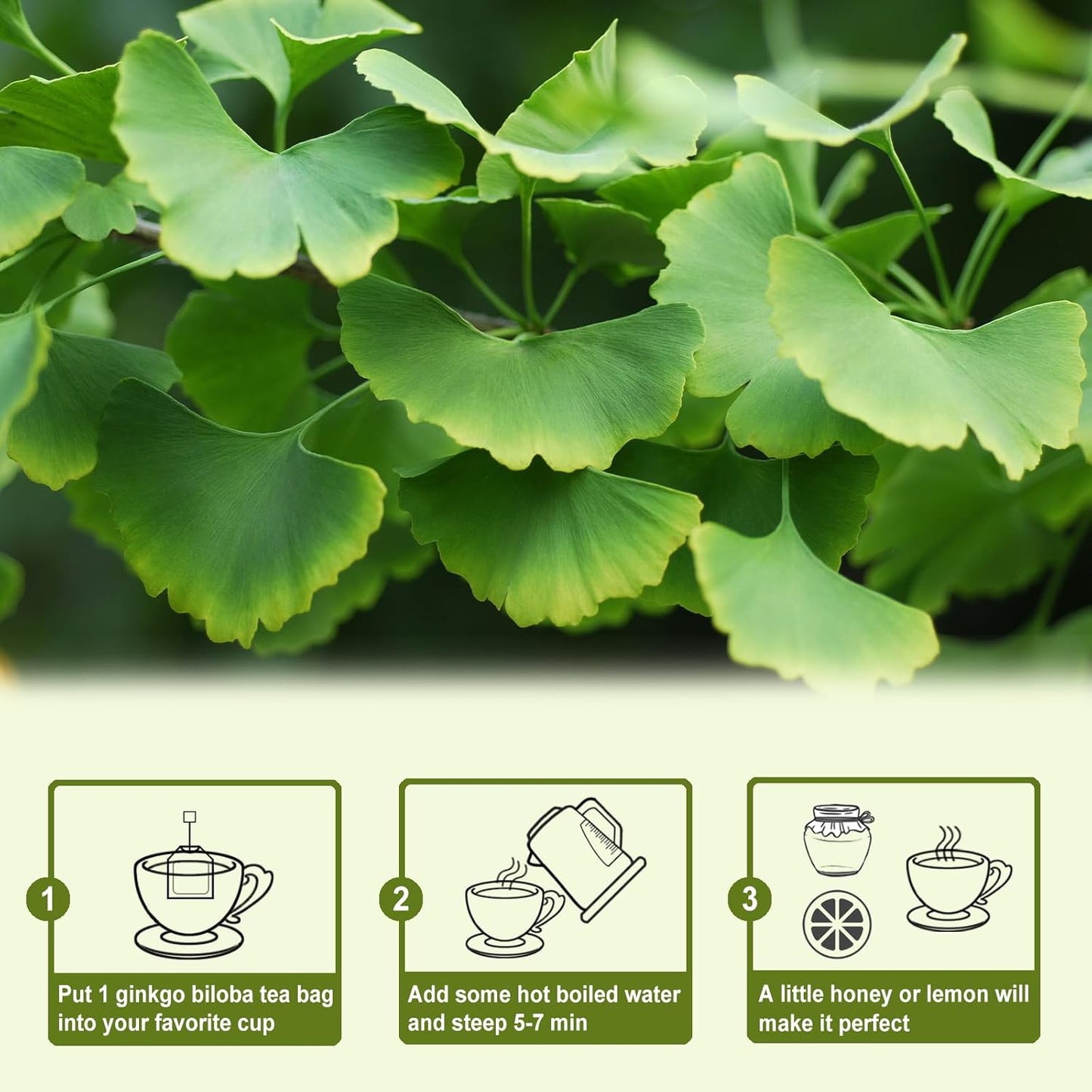 TEARELAE - Ginkgo Biloba Tea Bags, 50 Count - 100% Pure Ginkgo Biloba Leaves - Non-GMO - Naturally Caffeine-free Herbal Tea - Support Vision Health & Enhance Immunity