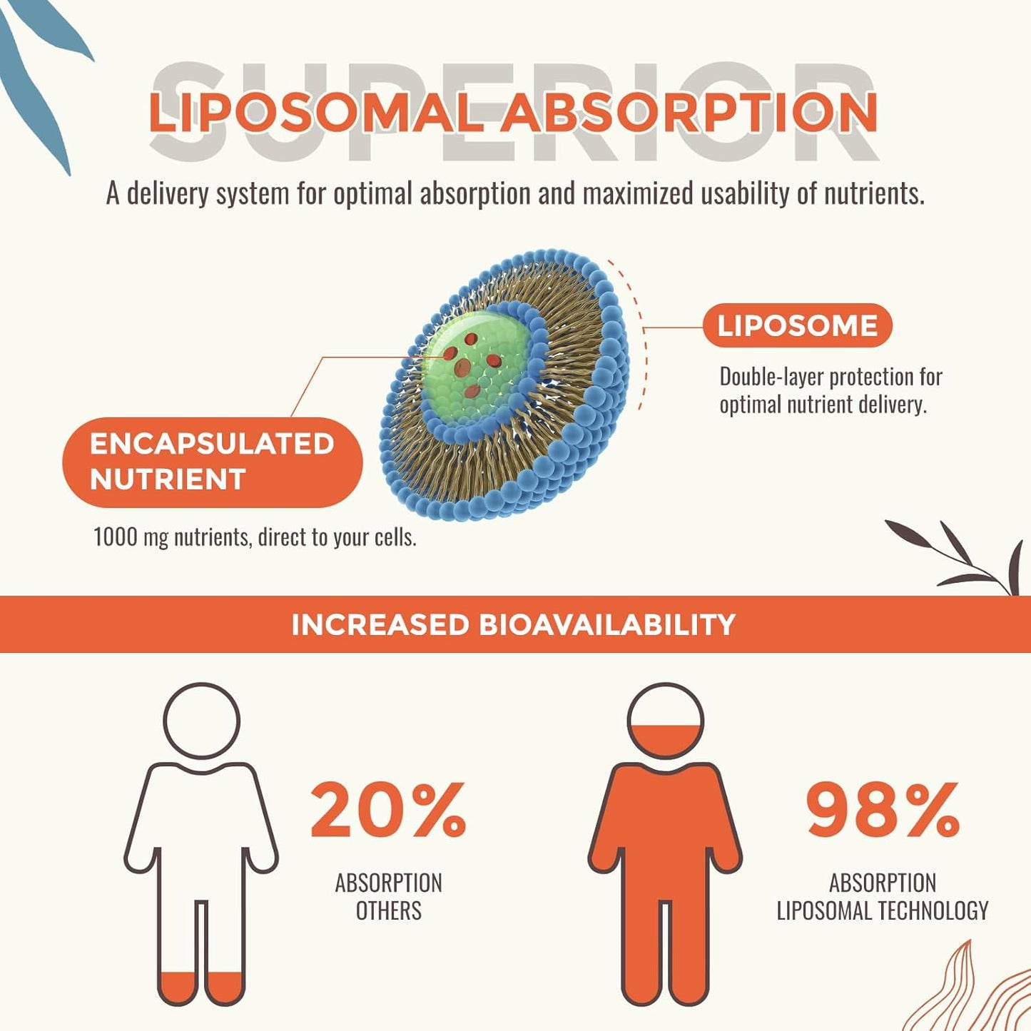 13-in-1 Liquid Oxygen & Nutrient Supplement for Energy, Altitude Support, Performance, Antioxidant, Immune, Fatigue & Detox, Liposomal for High Absorption, pH Balance, Organic, Gluten Free, 2 Fl Oz