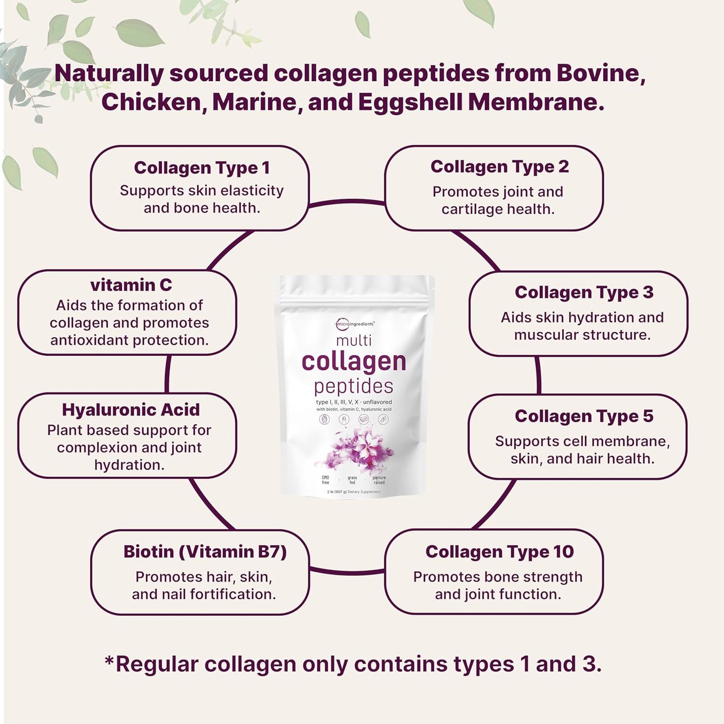 Micro Ingredients Multi Collagen Peptides Powder, 2lb | Type I, II, III, V, X + Biotin, Vitamin C & Hyaluronic Acid | Unflavored | Supports Hair, Skin & Joint Health | Keto, Non-GMO