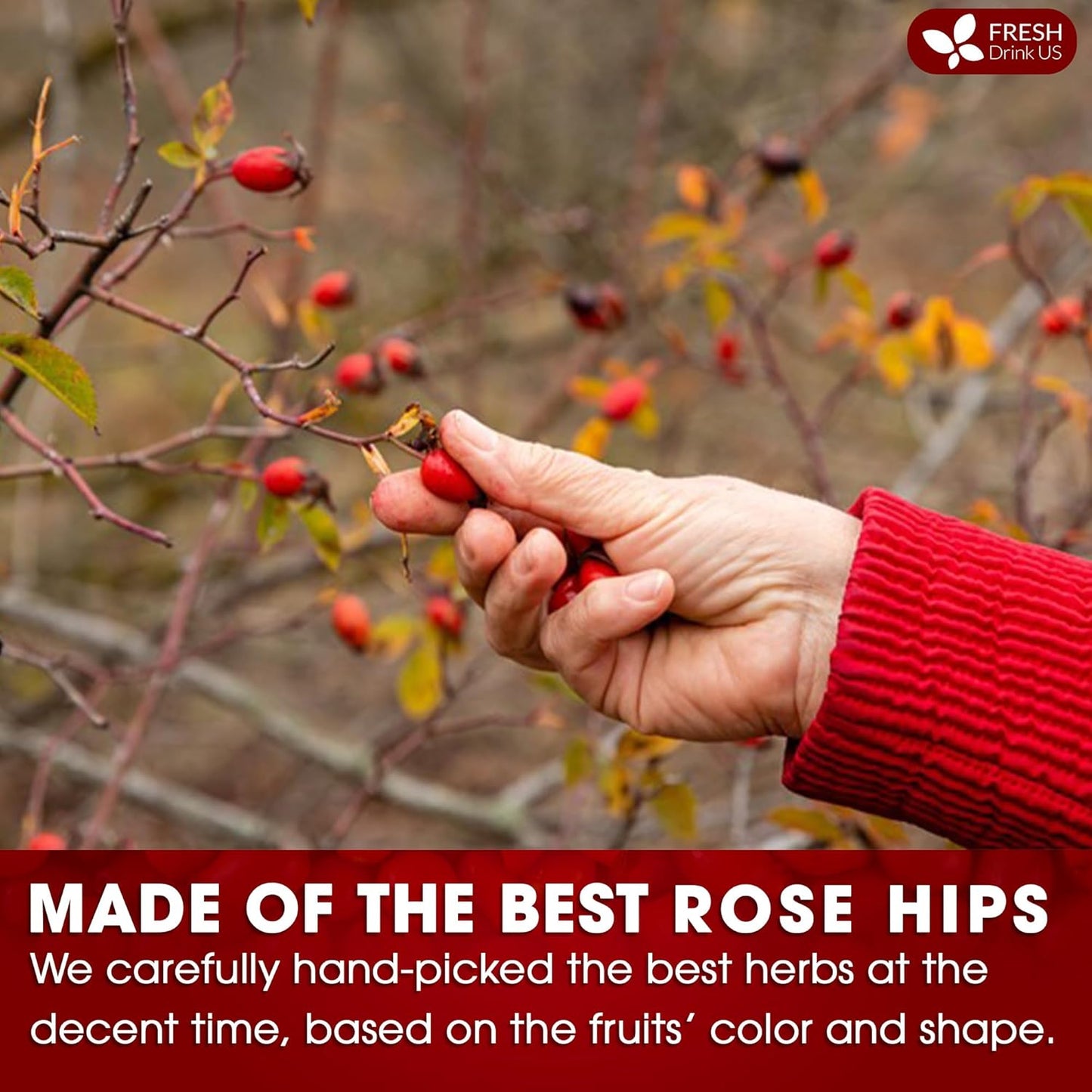 FreshDrinkUS, Premium 30 Rosehip Tea Bags, 100% Natural & Pure from Rose Hip Fruits. Loose Rosehip Herbal Tea. Made with Natural Material Tea Bags. No Sugar, No Caffeine, No Gluten, Vegan.