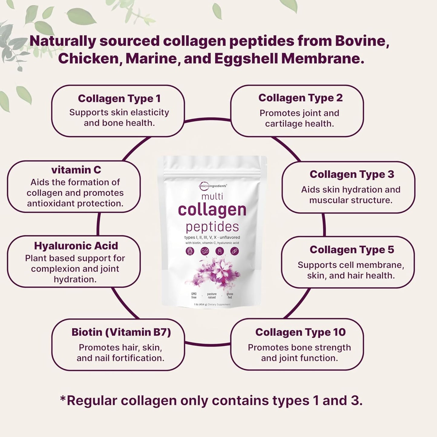 Micro Ingredients Multi Collagen Peptides Powder, 16oz | Type I, II, III, V, X + Biotin, Vitamin C & Hyaluronic Acid | Unflavored | Supports Hair, Skin & Joint Health | Keto, Non-GMO