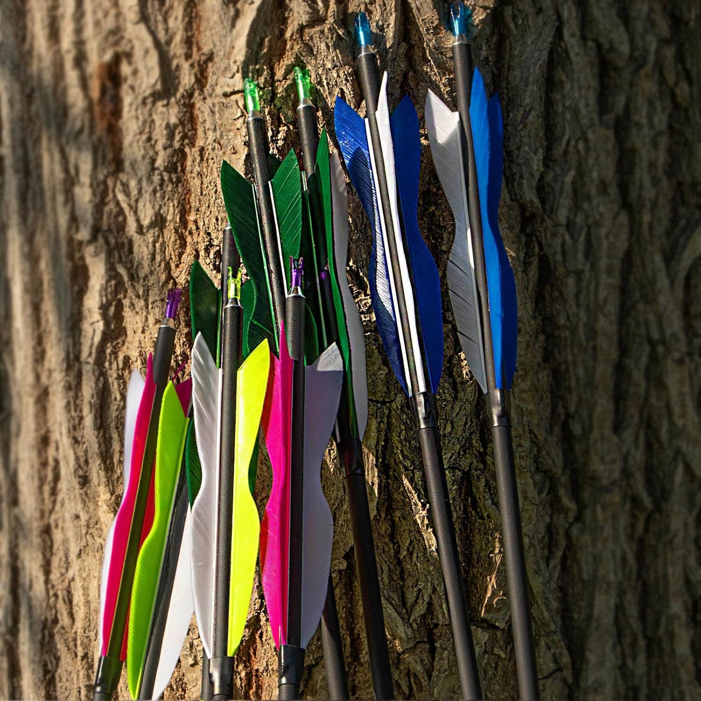 S F 30" Traditional Archery Carbon Feather Arrows 500 Spine Traditional Arrows Long Bows Archery Compound Bow Arrows Arrows for Compound Bow Arrows for recurve Bow（12 Pack）